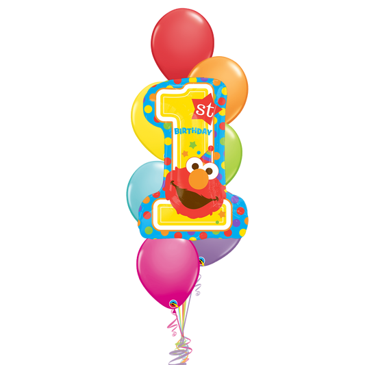 1st Birthday Elmo